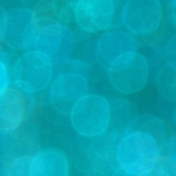 Bokeh-438